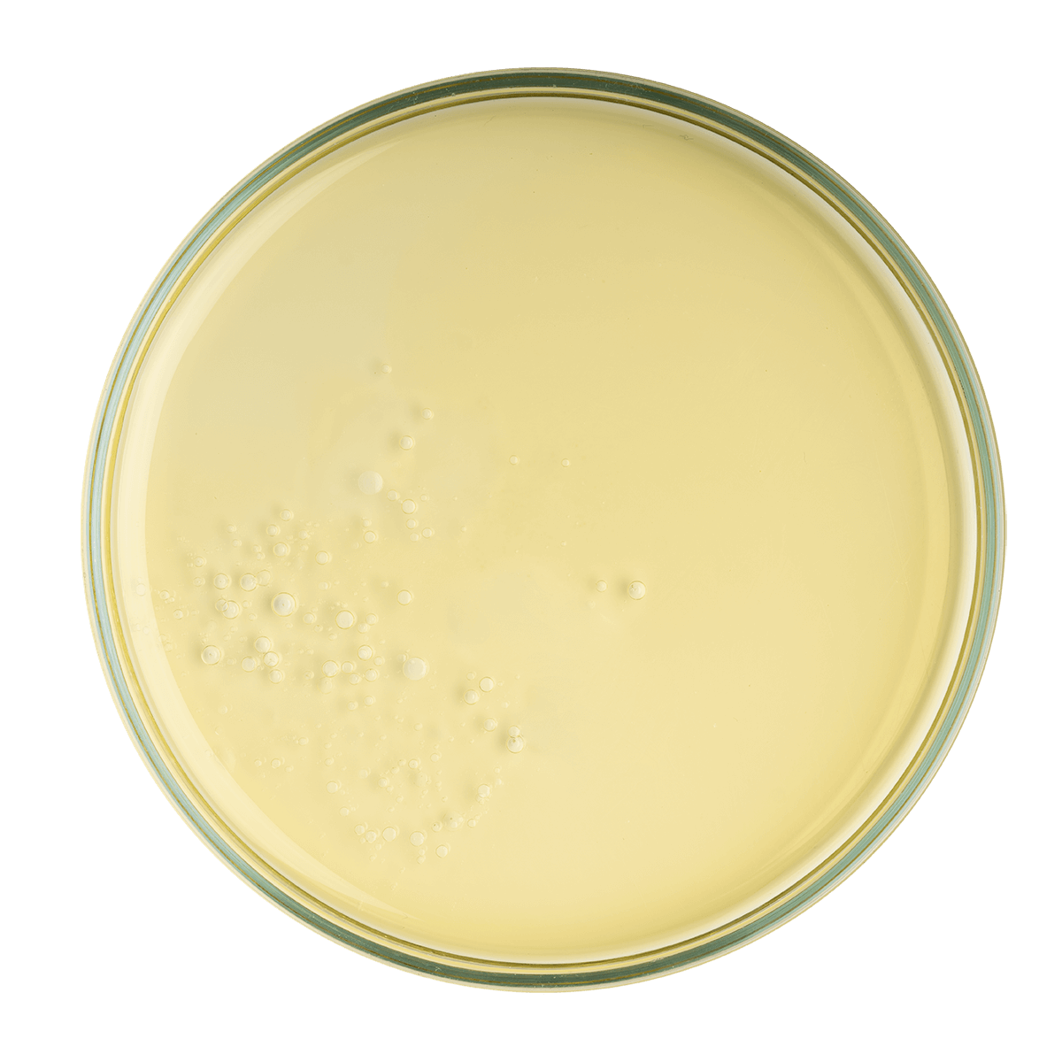 OLOS - OLIO SETA VISO CORPO CAPELLI . Olio dedicato alla bellezza di viso, corpo e capelli. Rapido assorbimento, nutre e protegge pelle e capelli dalle aggressioni esterne. Complesso di 5 preziosi oli vegetali: tra cui prevale l' olio di Macadamia, dalle proprietà nutrienti, riparative, idratanti ed addolcenti. Pomodoro: azione anti-ossidante e pro-idratazione. Vitamina E: antiossidante